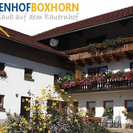 Appartamento Woferlhof, Ferienhof Boxhorn Böbrach Esterno foto