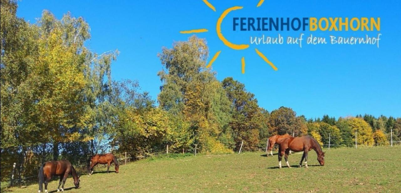 Appartamento Woferlhof, Ferienhof Boxhorn Böbrach Esterno foto