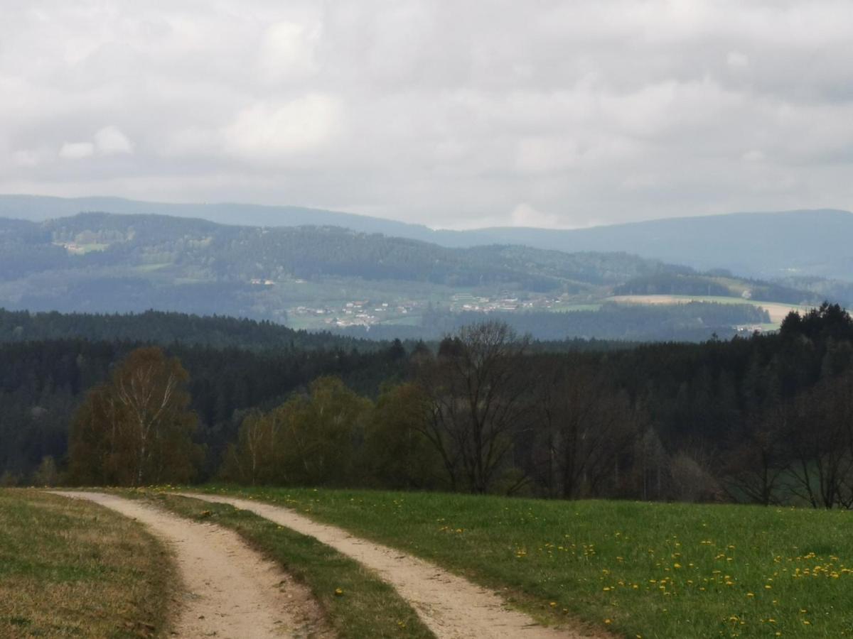 Appartamento Woferlhof, Ferienhof Boxhorn Böbrach Esterno foto