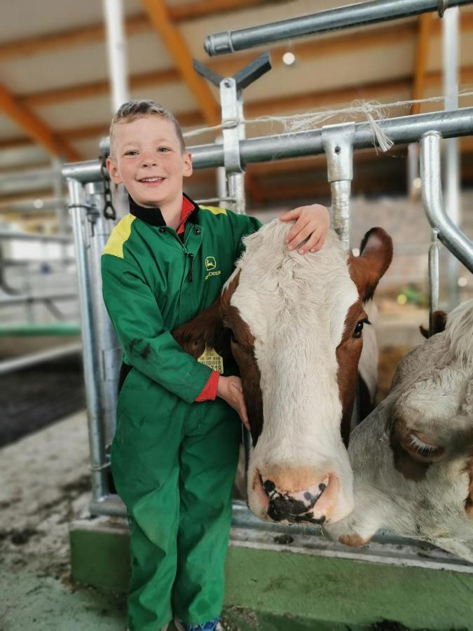 Appartamento Woferlhof, Ferienhof Boxhorn Böbrach Esterno foto